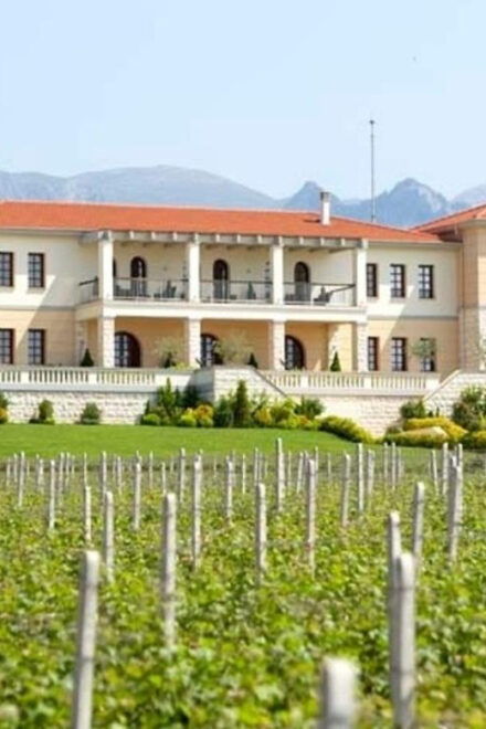 Kavala: VinoTour X-plorer - Experience Description
