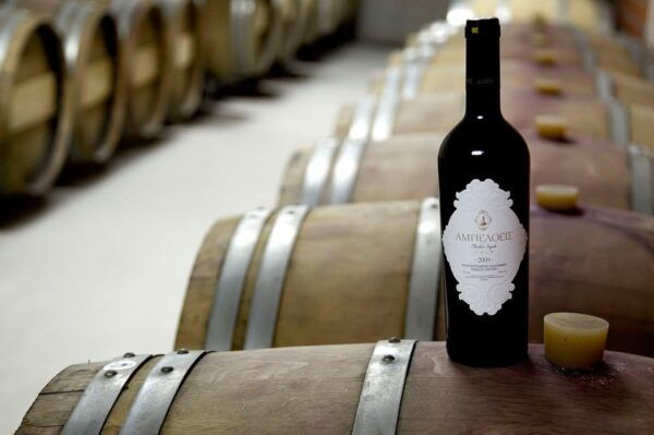 Kavala: VinoTour X-plorer - Booking Information