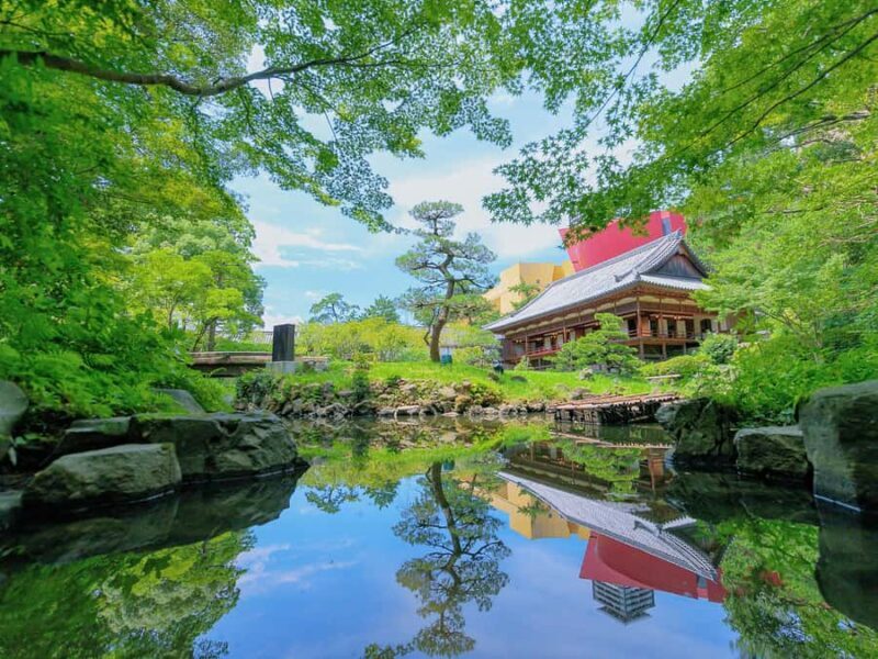 Kawachi Wisteria Garden, Kokura Castle & Outlets Day Tour - The Sum Up