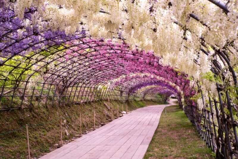 Kawachi Wisteria Garden, Kokura Castle & Outlets Day Tour - Discovering Kokura Castle