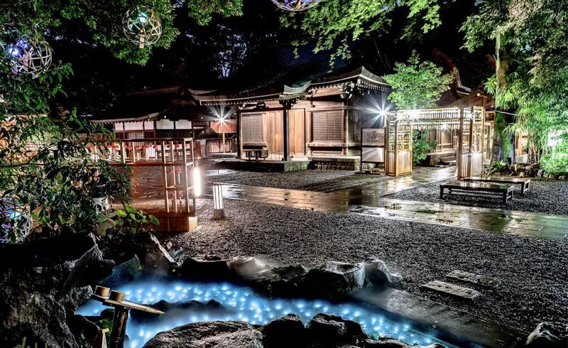 Kawagoe Little Edo Customized Private Day Tour | Departing from Tokyo - Ashikaga Flower Park: the spring add-on