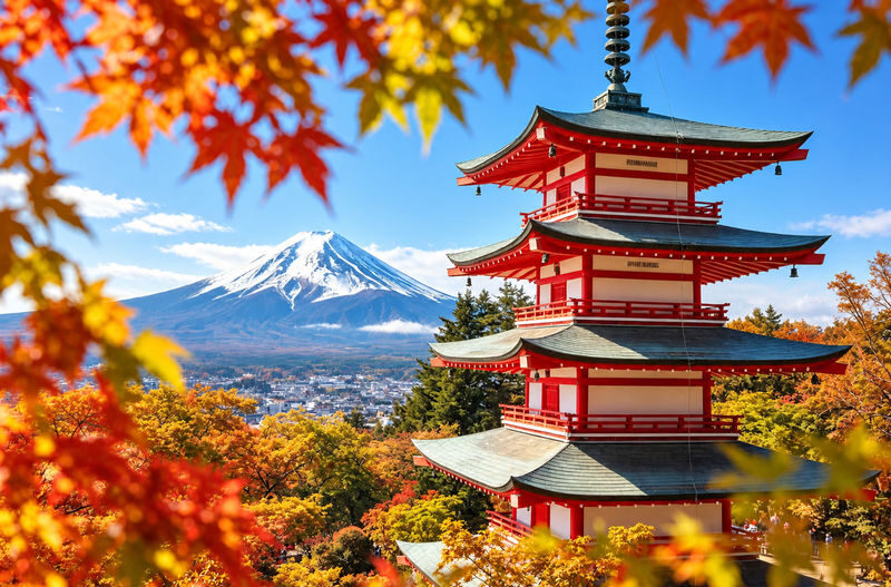 (Kawaguchiko Ropeway ticket included) Mount Fuji Kawaguchiko Internet-famous Check-in Day Tour: Kawaguchiko Tenjo-Yama Park, Internet-famous Lawson Convenience Store, Arakurayama Sengen Park, Oshino Hakkai (Departing from Tokyo / Chinese and English servi - Tenjo-yama Park: Begin Above Lake Kawaguchi