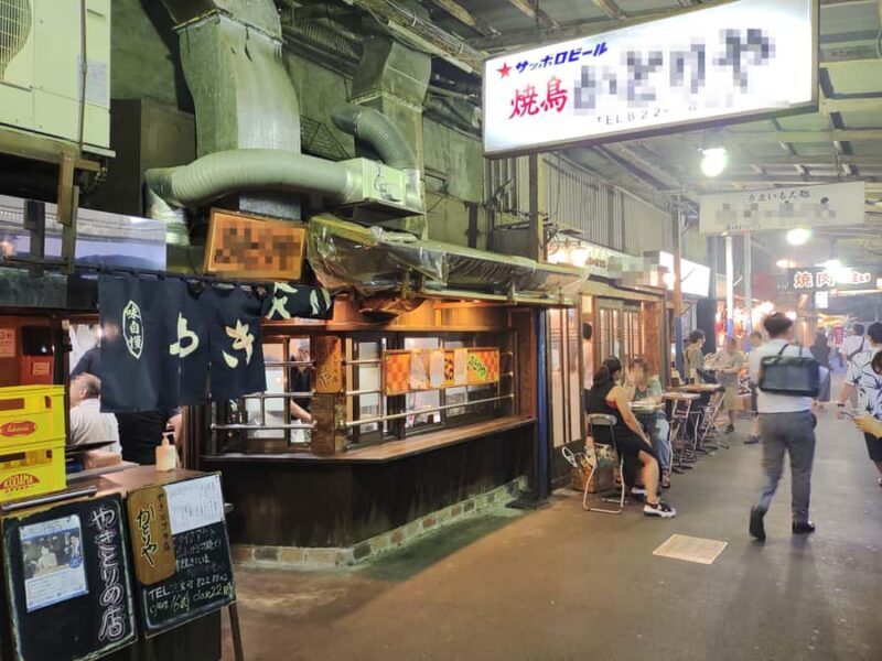 Kawasaki: Mizonokuchi and Takatsu Bar Hopping Tour - Good To Know