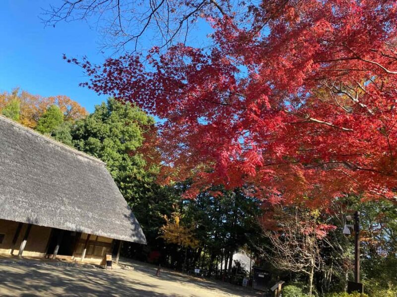 Kawasaki: Tama River Cycling & Japanese Folk House Tour - Who Will Love This Tour?