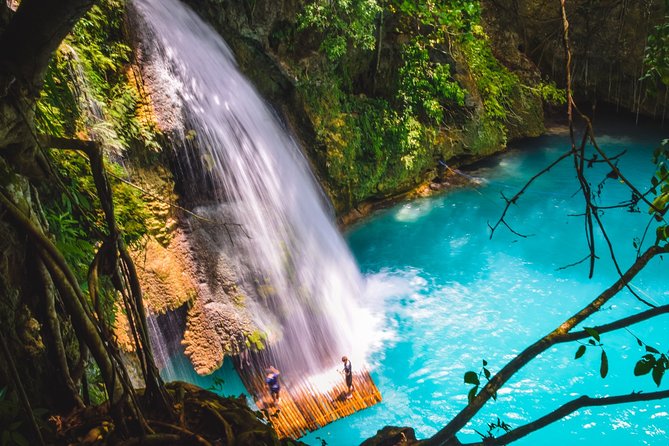 Kawasan Waterfalls Tour - Tour Highlights