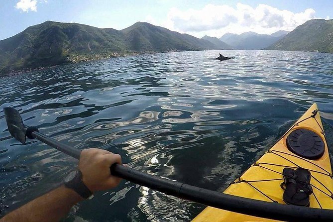 Kayak Active Tour - Tour Overview