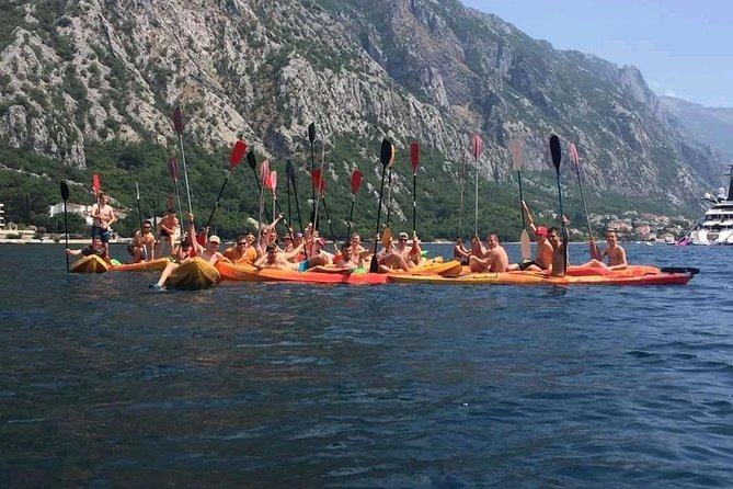 Kayak Active Tour - Reviews