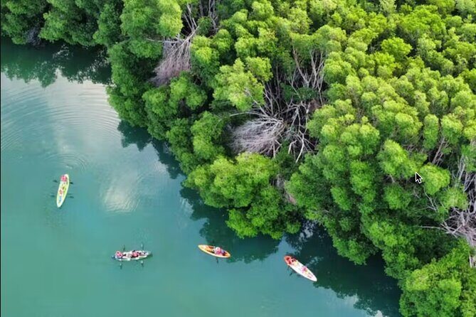 Kayak Activity in Nichupte Lagoon opt. Roundtrip transportation - The Environment and Wildlife Encounter