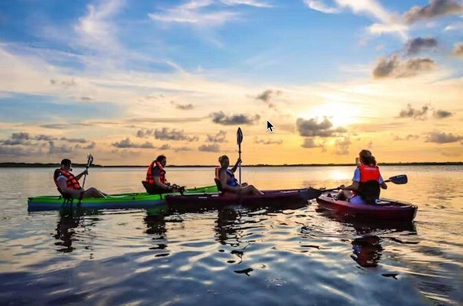 Kayak Activity in Nichupte Lagoon opt. Roundtrip transportation - The Sum Up: Who Will Love This Kayak Tour?