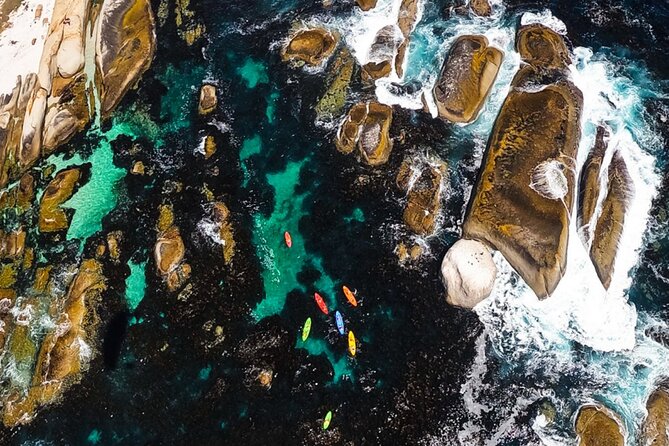 Kayak Adventure at Clifton Beach - What To Expect