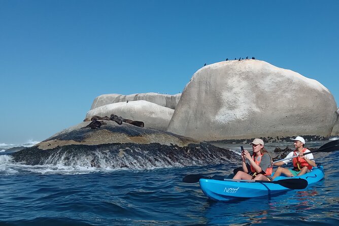 Kayak Adventure at Clifton Beach - Cancellation Policy