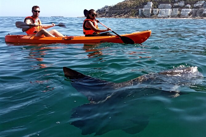 Kayak Adventure at Clifton Beach - Background
