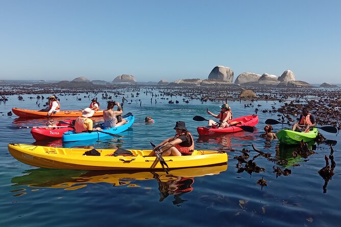 Kayak Adventure at Clifton Beach - Directions