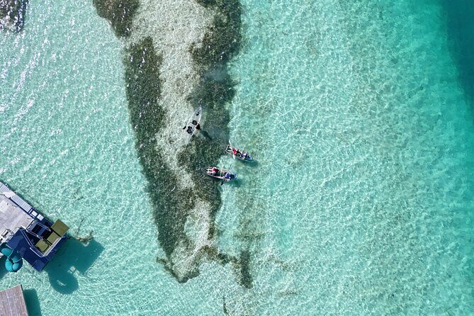 Kayak Adventure, Conch Dive & Local Rum Tasting Grand Turk - Frequently Asked Questions