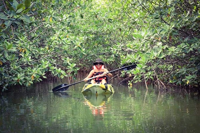 Kayak Adventure in Cancun - Reviews and Ratings