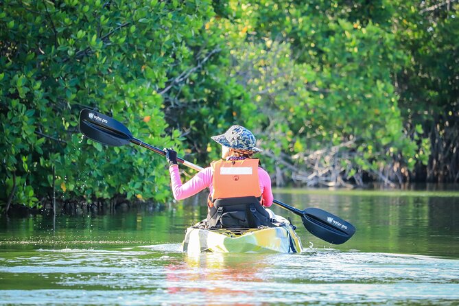 Kayak Adventure in Cancun - Pricing and Contact Information