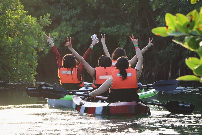 Kayak Adventure in Cancun - Background