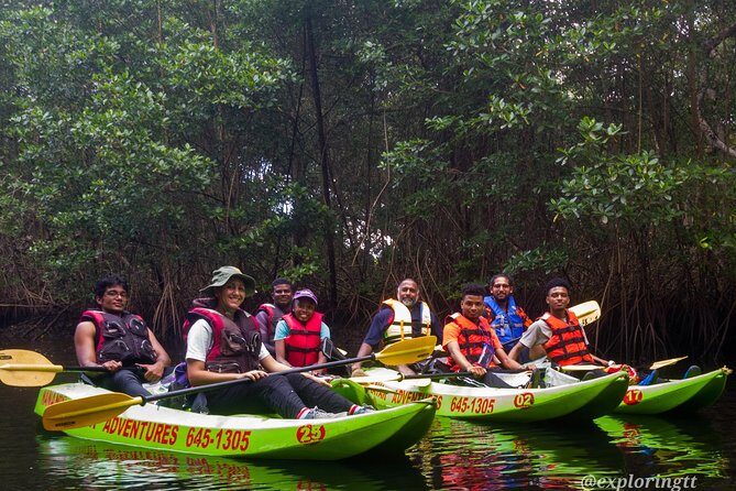 Kayak Adventure in the Second Largest Swamp of Trinidad and Tobago - Good To Know