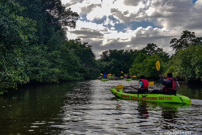 Kayak Adventure in the Second Largest Swamp of Trinidad and Tobago - An In-Depth Look at the Kayak Adventure