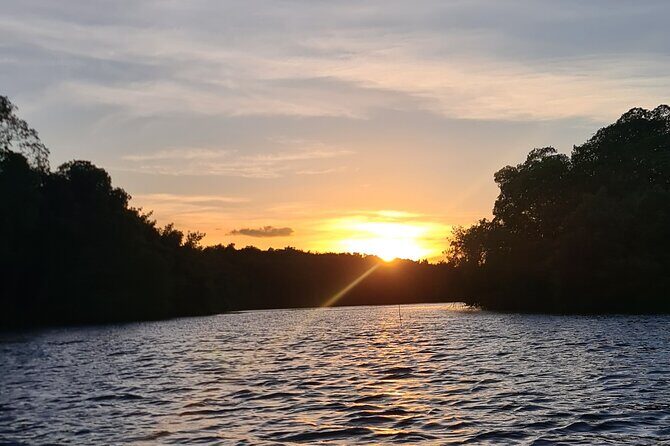 Kayak Adventure in the Second Largest Swamp of Trinidad and Tobago - FAQ
