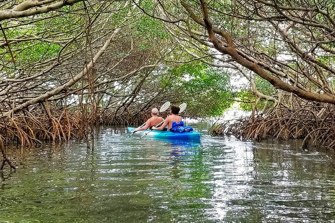 Kayak Adventure of Shell Key Preserve & Island With a Local - Inclusions and Equipment