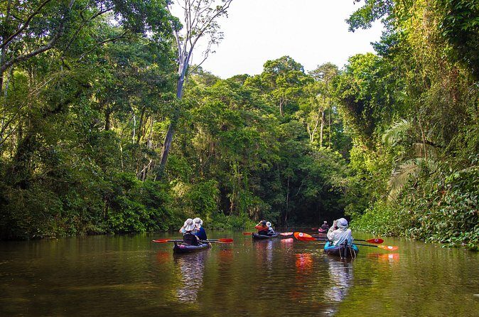 Kayak Adventure on the Roseau River in St Lucia - Frequently Asked Questions