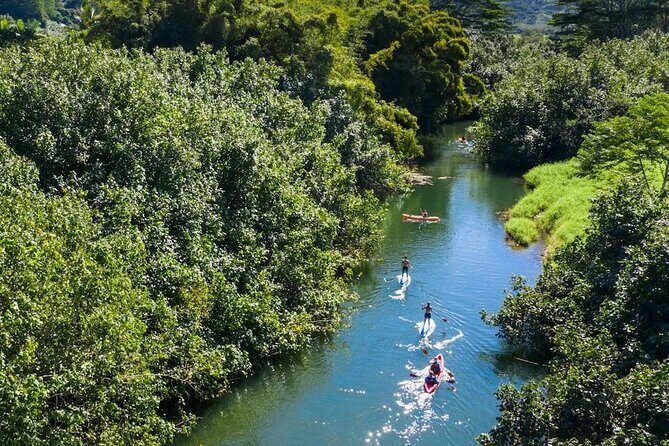 Kayak Adventure on the Roseau River in St Lucia - In The Sum Up