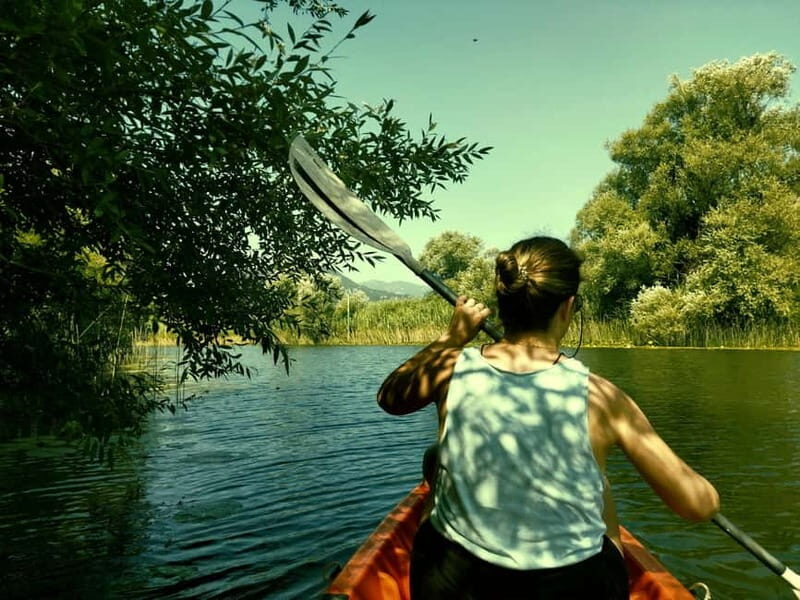 Kayak Adventure: Paddle your way through Lake Skadar - Kayak Adventure: Paddle your way through Lake Skadar