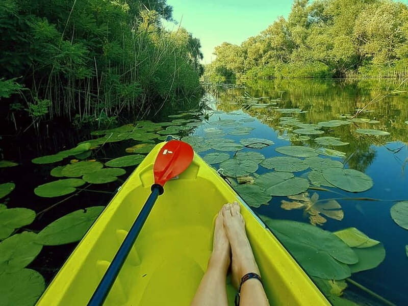 Kayak Adventure: Paddle your way through Lake Skadar - Good To Know