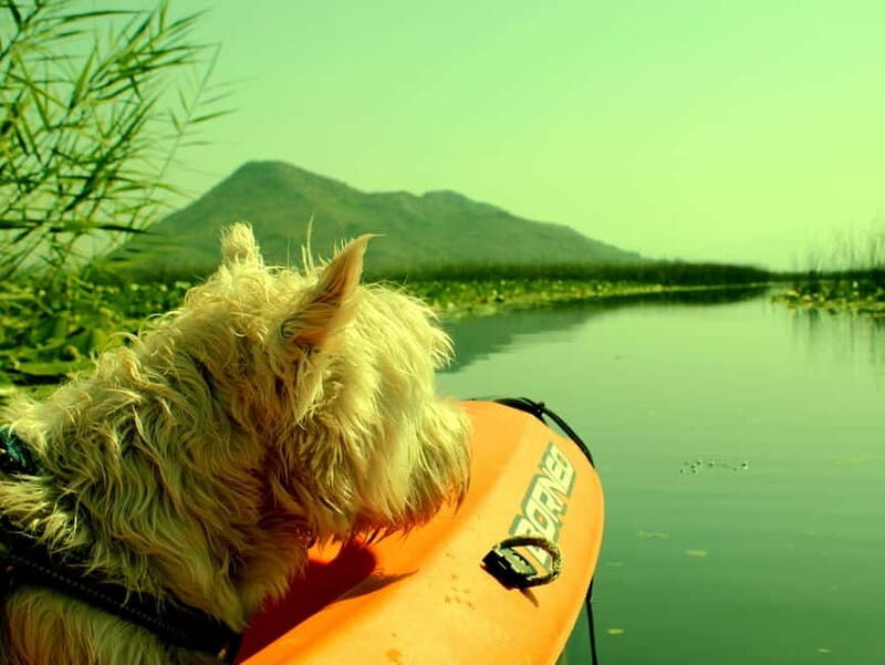Kayak Adventure: Paddle your way through Lake Skadar - Who Will Love This?