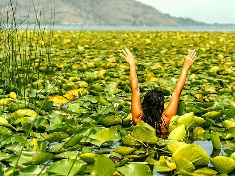 Kayak Adventure: Paddle your way through Lake Skadar - Final Thoughts