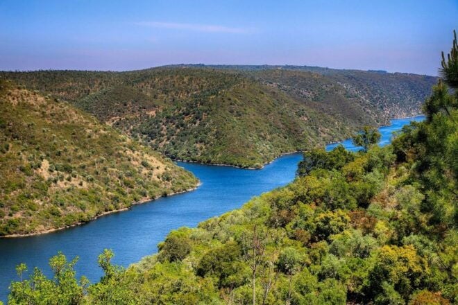 Kayak Adventure Review: Tagus River Excursion - Wildlife and Nature Encounters