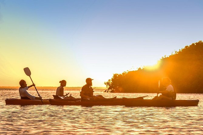 Kayak Adventure Through Laguna Nichupté in Cancun - Traveler Photos and Reviews