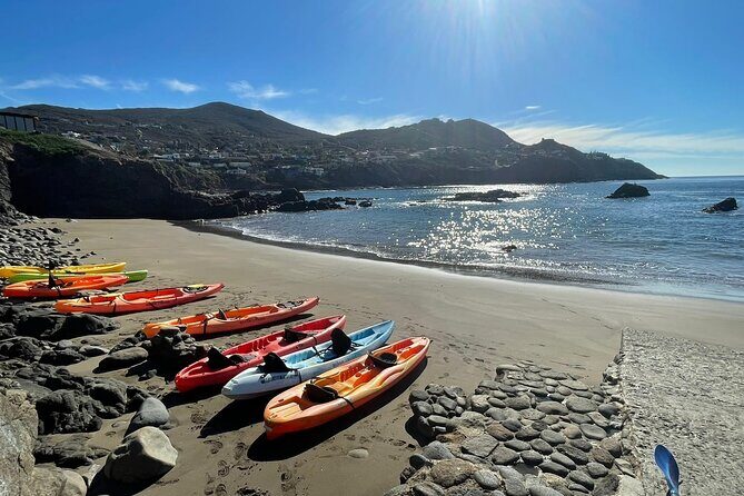 Kayak Adventure to La Bufadora Blowhole  Private Shore Excursion - Good To Know