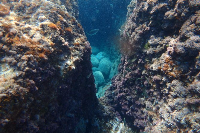 Kayak and Snorkel Day Tour to La Costa Brava From Barcelona - Group and Atmosphere