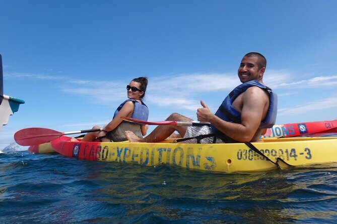 Kayak and Snorkel Discovery Tour in Los Cabos - Final Thoughts