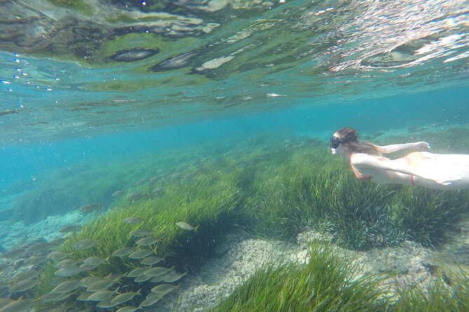 Kayak and Snorkel Through the Best Coves of the Cabo De Gata Natural Park. - Kayak Handling Lesson