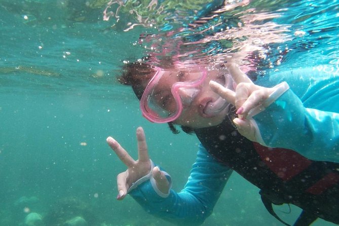 Kayak and Snorkel Tour Half Day - Common Questions