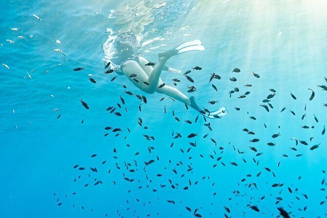 Kayak and Snorkeling Tour in the Bergeggi Island MPA - The Sum Up