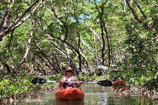 Kayak and SUP Rentals on Big Hickory Island - Bonita Springs, FL - Meeting and Pickup Details