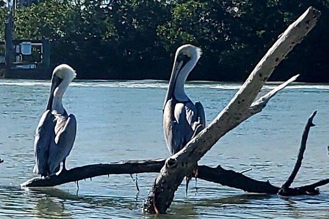 Kayak and SUP Rentals on Big Hickory Island - Bonita Springs, FL - Cancellation Policy