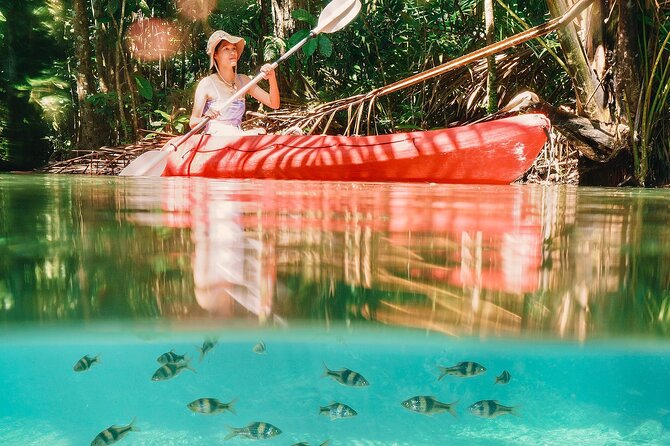 Kayak at Klongnamsai (Klong Root) - Contact Customer Service