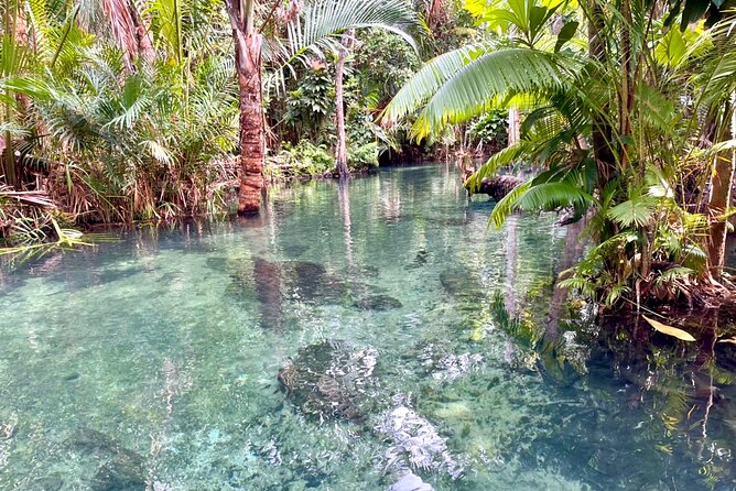 Kayak at Klongnamsai (Klong Root) - The Sum Up