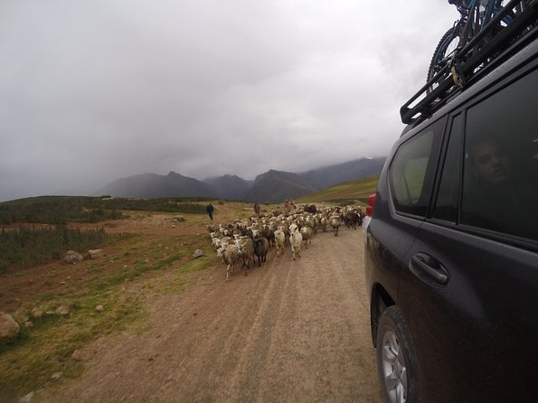Kayak & Bike Tour: Overnight in Sacred Valley Including Machu Picchu From Cusco - Reviews and Ratings