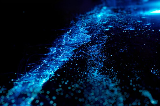 Kayak Bioluminescence Santa Teresa With Transportation - Tour Highlights
