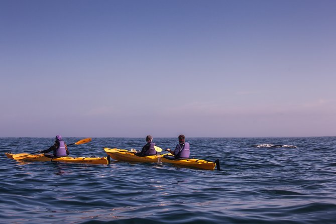 Kayak Chapmans Peak and Karbonkelberg in Hout Bay - Cancellation Policy