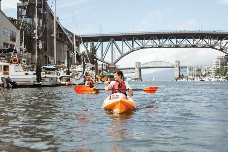 Kayak & Coffee Tour in Vancouver - Landmarks, seals and the pleasure of a slower pace