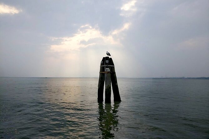 Kayak Discovery Tour in the Lagoon of Venice - Wildlife Spotting and Panoramic Views