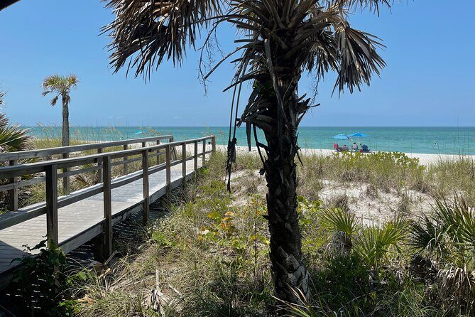 Kayak Eco Tour in Don Pedro Island - Why This Tour Will Appeal to You