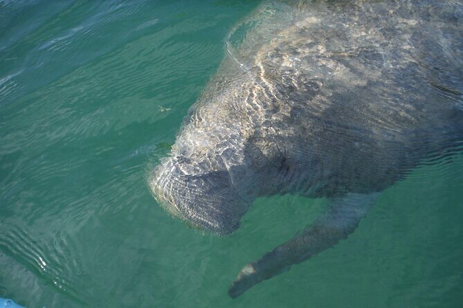 Kayak Eco Tour in Don Pedro Island - Final Thoughts